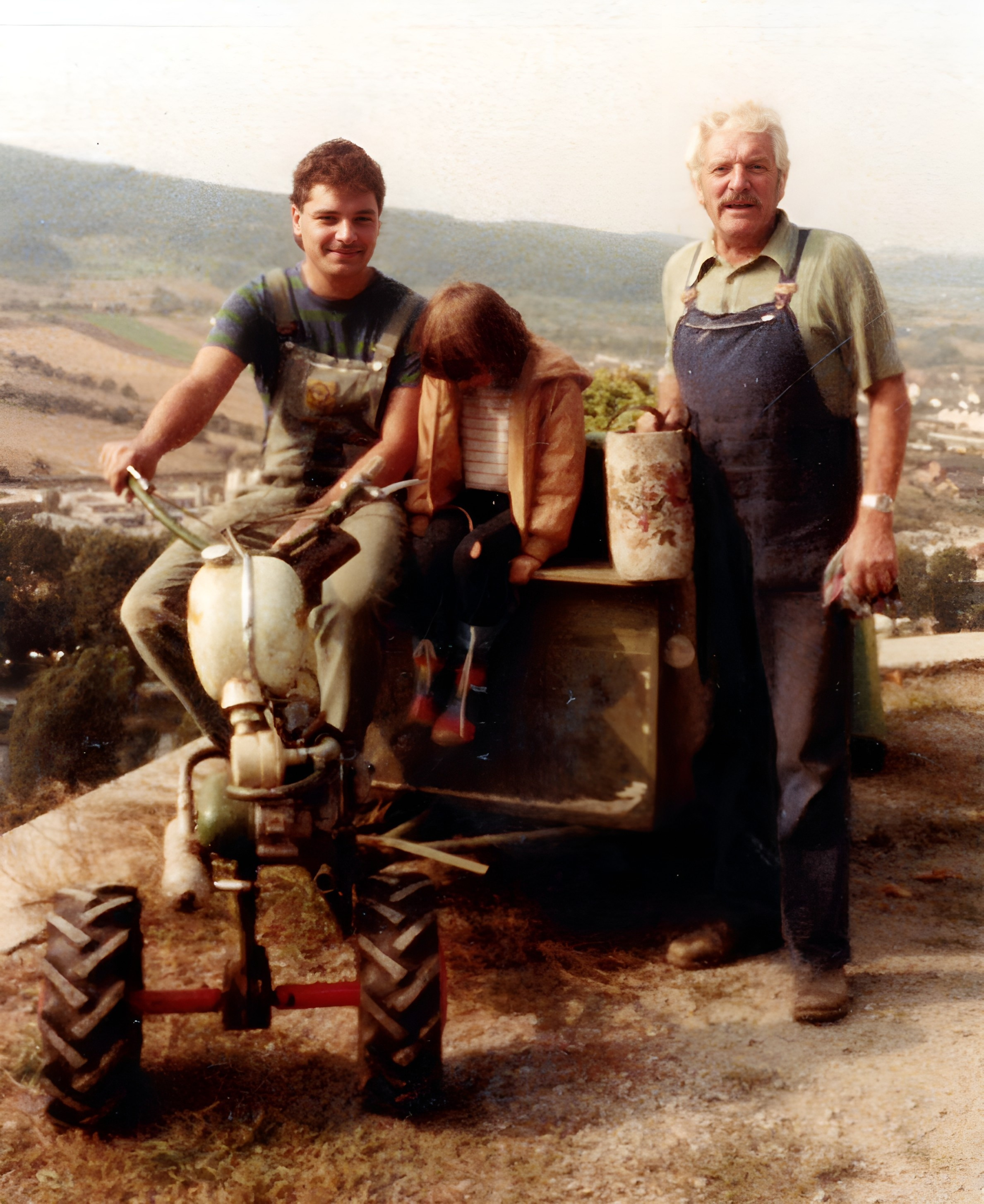 Traubenlese bei Familie Julien um 1978